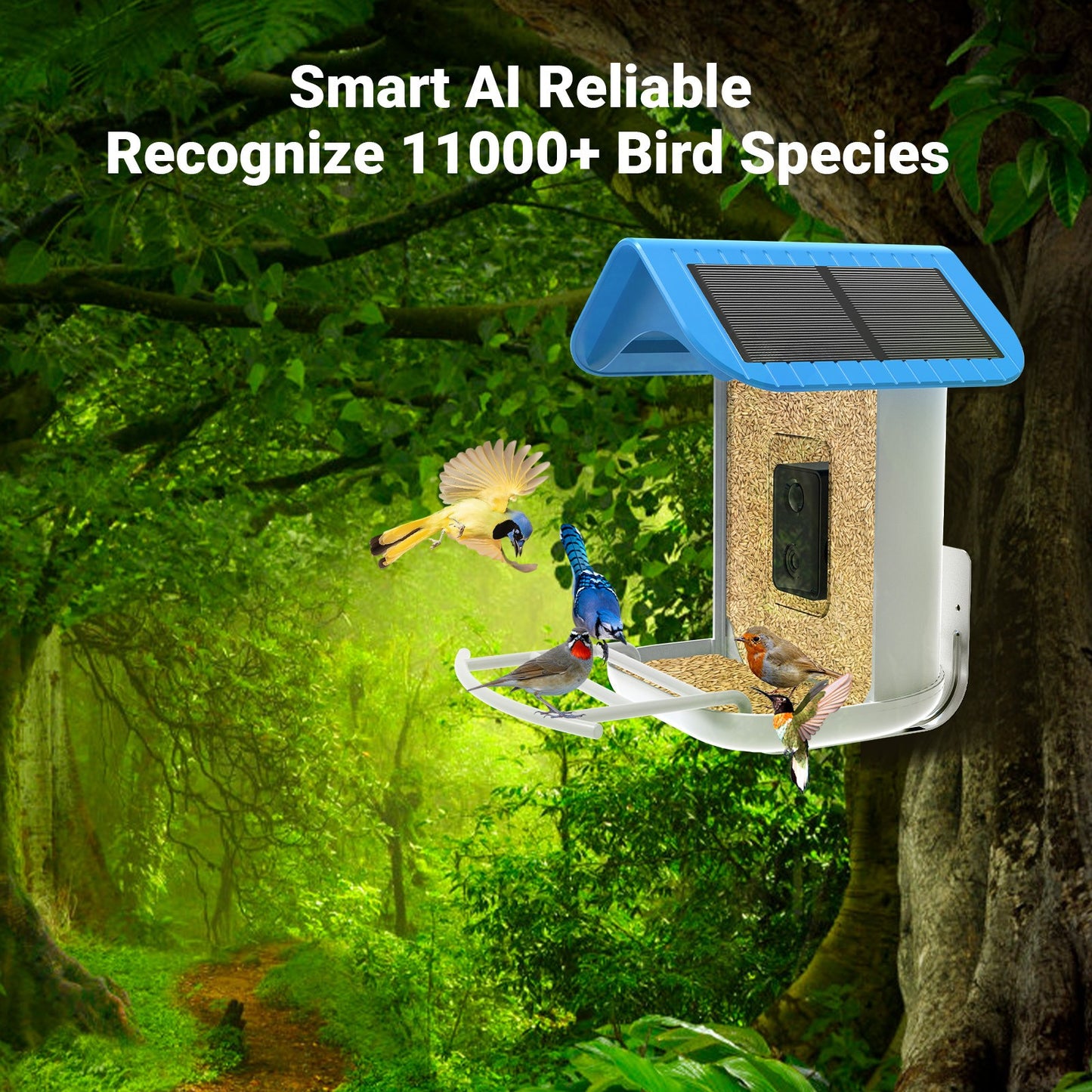 smart bird feeder camera hummingbird finches purple baby squirrel proof bird baths love bird eating bird food identifier bird app crows cardinal titmouse robin birdbuddy birdfy flicker cold bird snow eating starling squirrel stellars jay grossbeak goldfinch