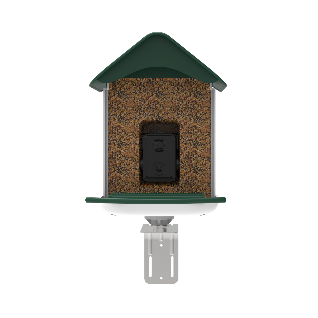 smart bird feeder camera hummingbird finches purple baby squirrel proof bird baths love bird eating bird food identifier bird app crows cardinal titmouse robin birdbuddy birdfy flicker cold bird snow eating starling squirrel stellars jay grossbeak goldfinch
