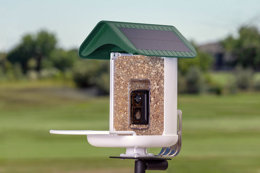 BirdReel Smart Bird Feeder - Now Available at more than 200 Wild Birds Unlimited stores around the country or on-line at order.wbu.com!