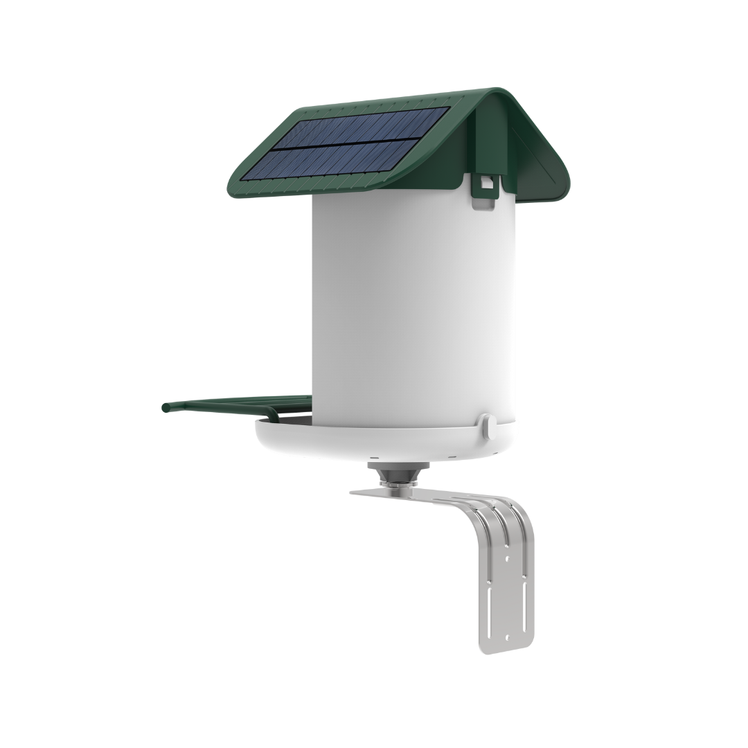BirdReel Smart Bird Feeder