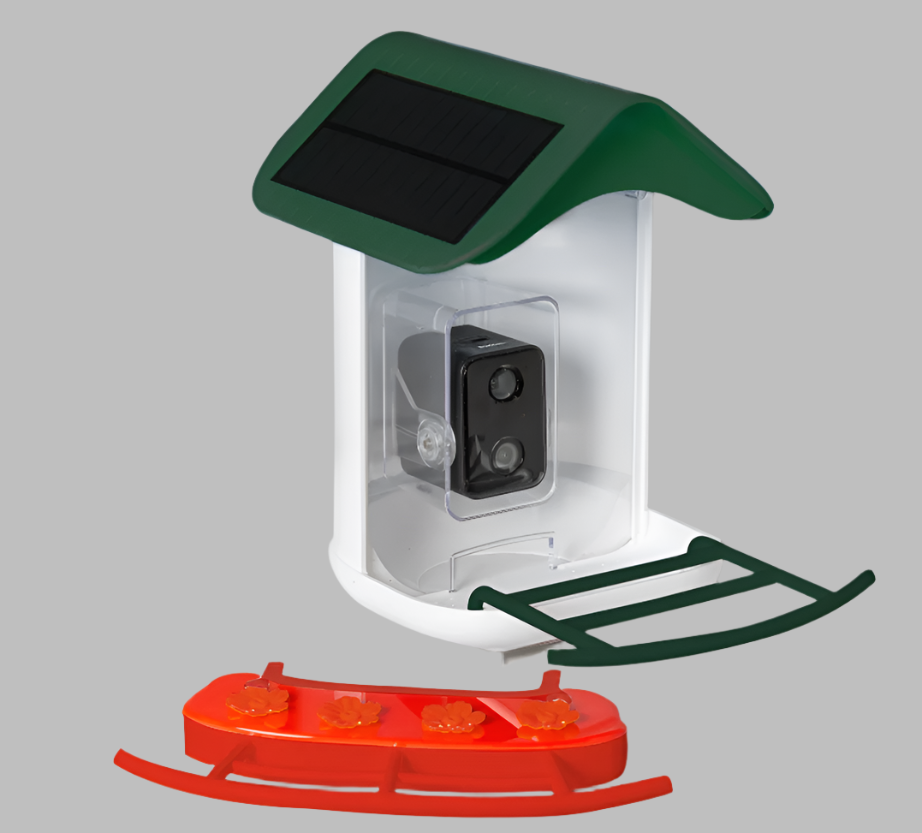 smart bird feeder camera hummingbird finches purple baby squirrel proof bird baths love bird eating bird food identifier bird app crows cardinal titmouse robin birdbuddy birdfy flicker cold bird snow eating starling squirrel stellars jay grossbeak goldfinch anna ruby throated