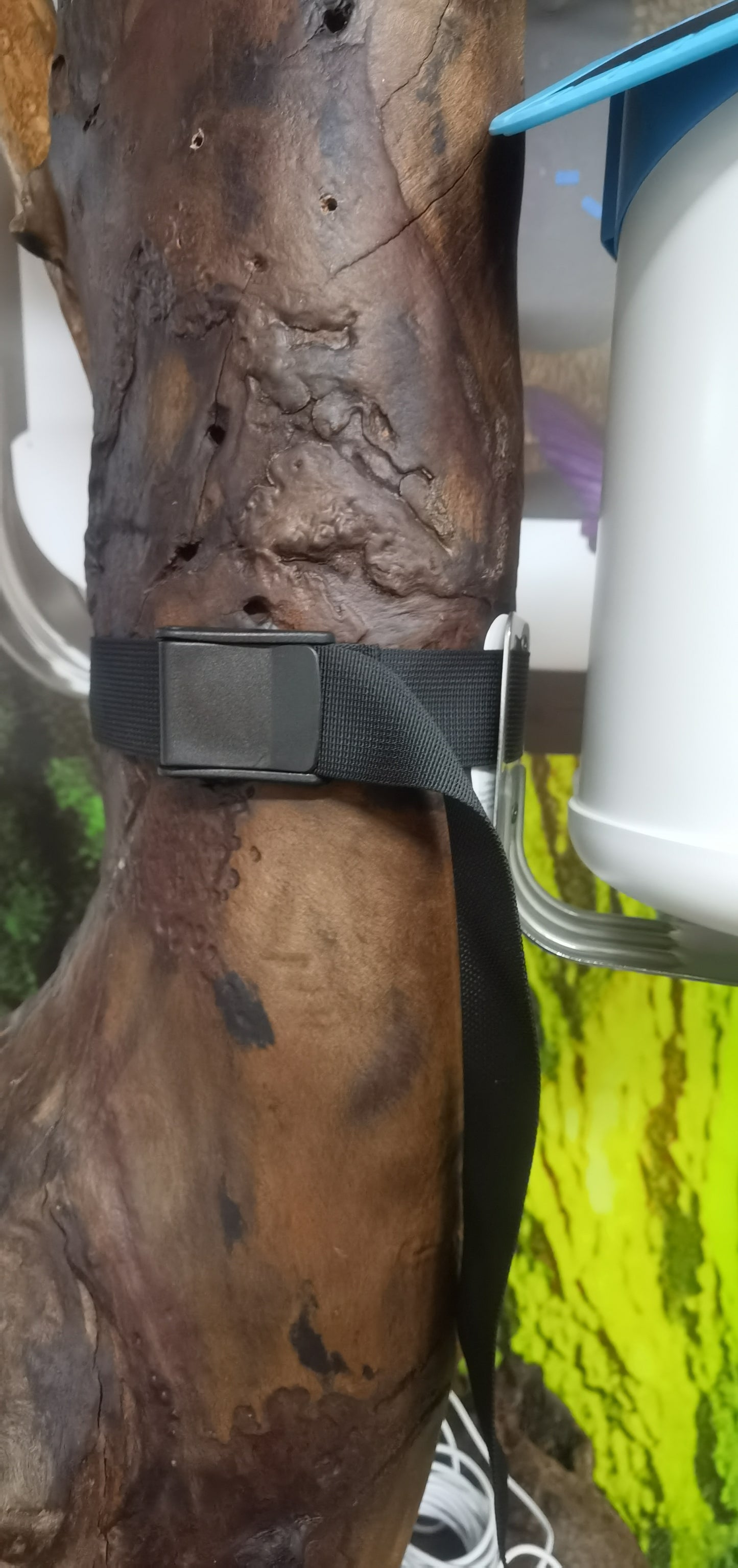 BirdReel Mounting Strap