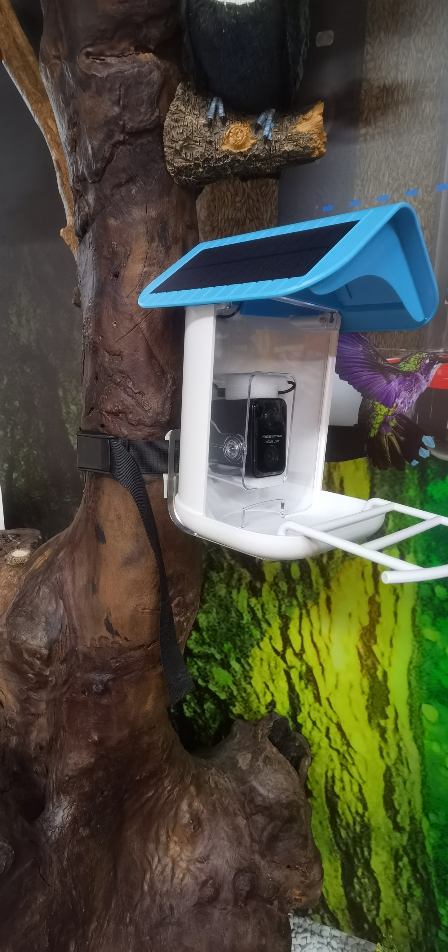 BirdReel Mounting Strap