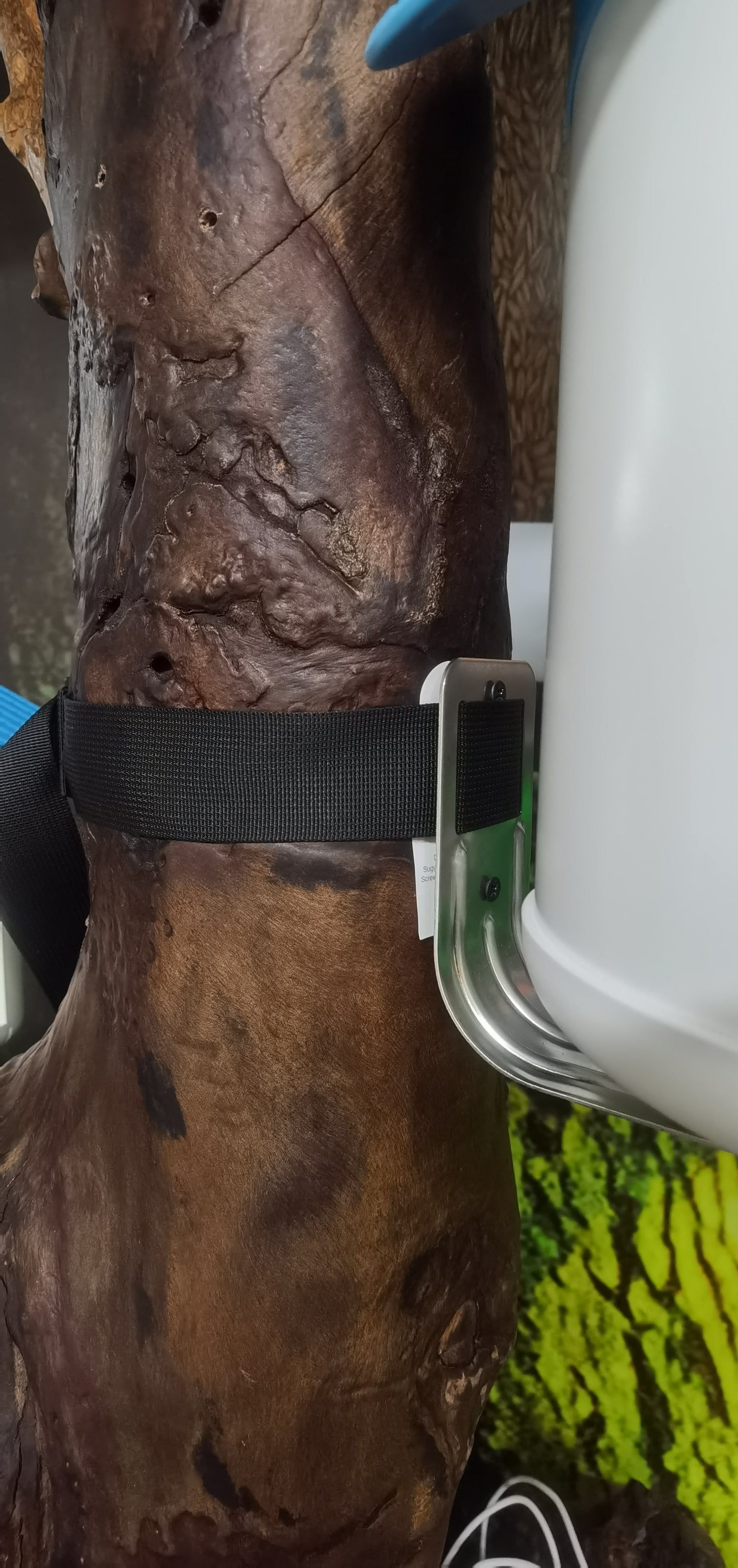 BirdReel Mounting Strap