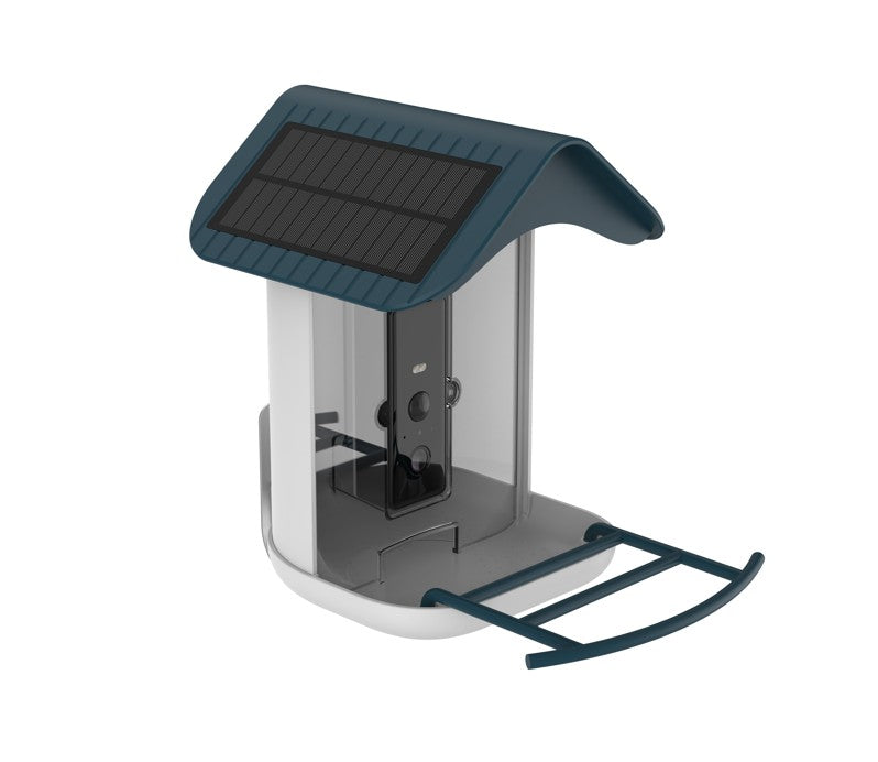 Solar-Powered Bird Feeders: Why They’re the Future of Hassle-Free Birding