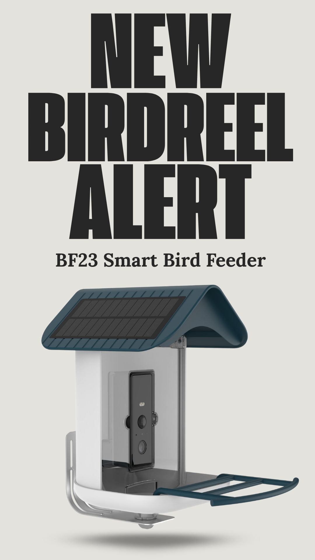 How to Maximize Q4 Sales With Interactive In-Store Displays