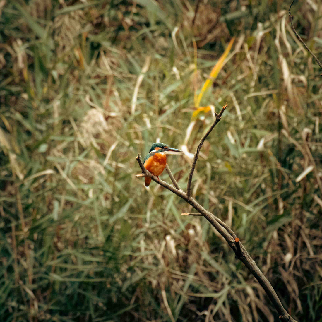 Smart, Sustainable, and Stocked: How to Keep Holiday Momentum Rolling Through December