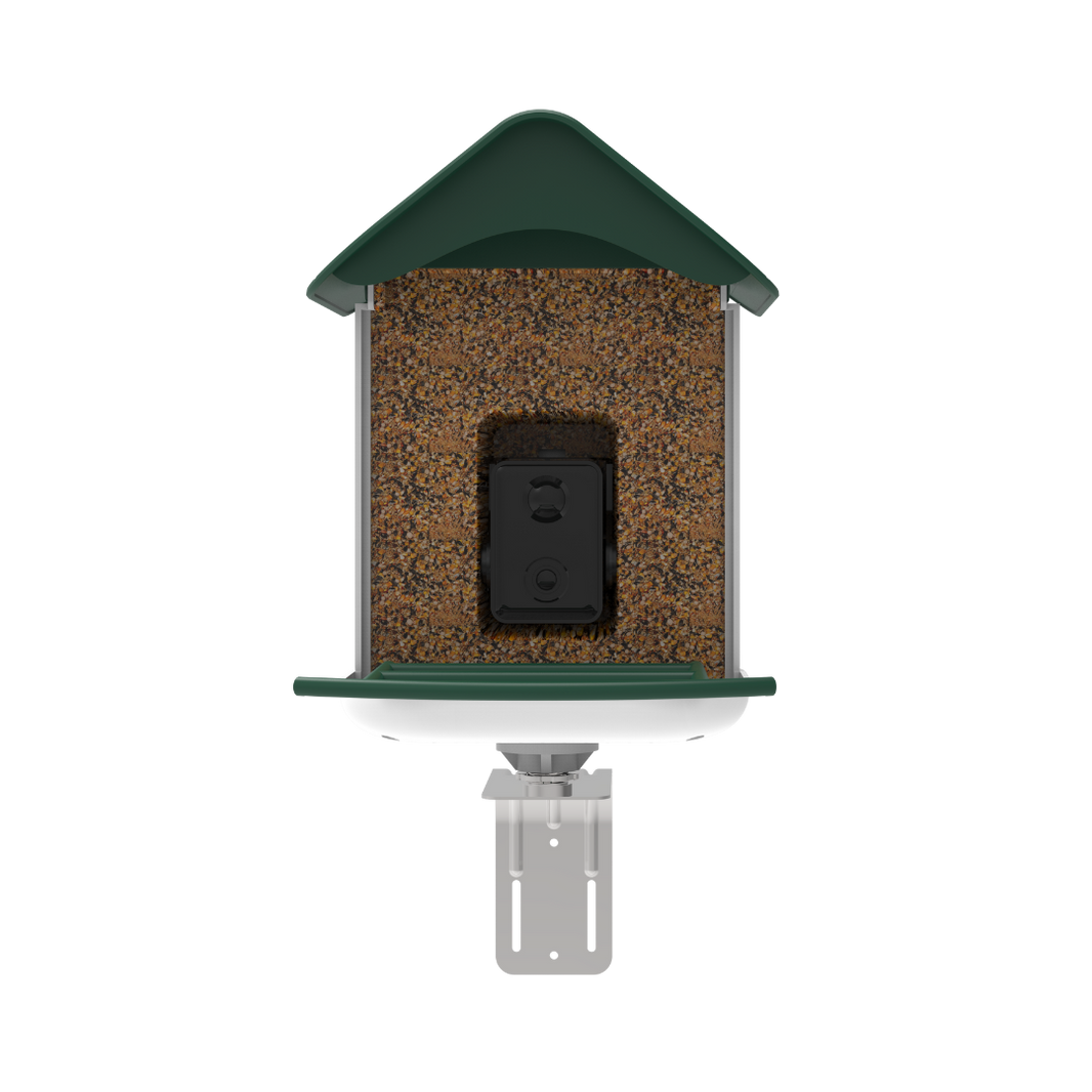 BirdReel Smart Bird Feeder