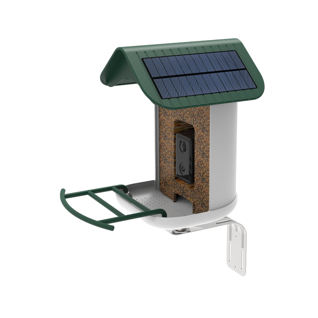 BirdReel Smart Bird Feeder - Now Available at more than 200 Wild Birds