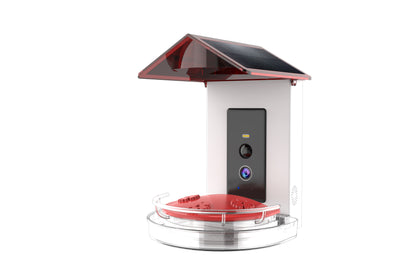 *NEW* BirdReel Smart Hummingbird Feeder - Now Available at Wild Birds Unlimited