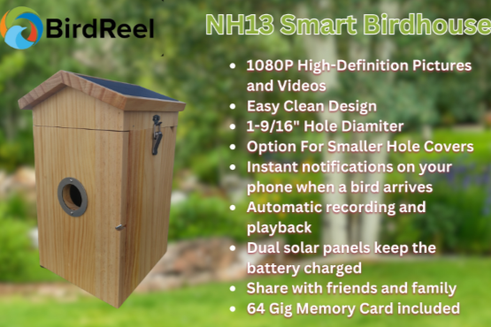 *NEW* BirdReel NH13 Smart House