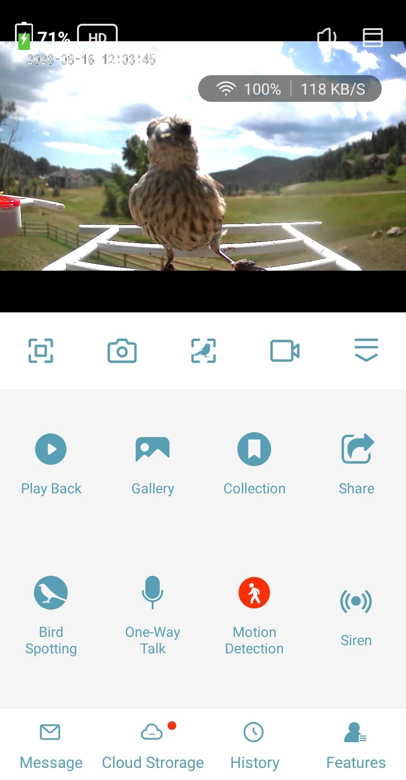 A screenshot of the smart birdfeeder app used by BirdReel with a bird on the feeder's perch.