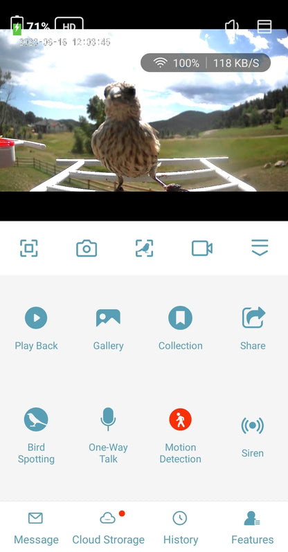 A screenshot of the smart birdfeeder app used by BirdReel with a bird on the feeder's perch.